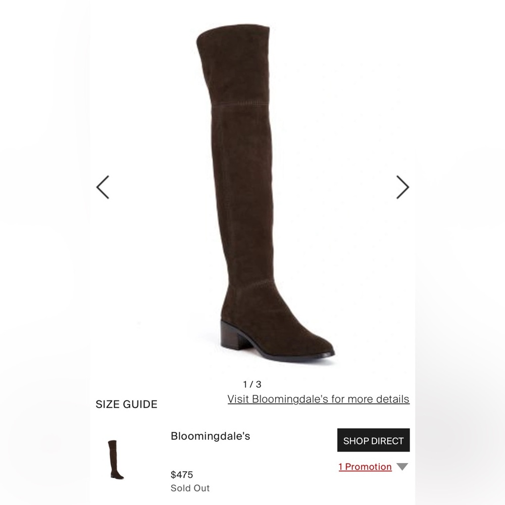 Coach Lucia Boot in Chestnut
